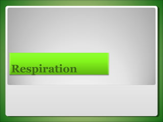 Respiration 