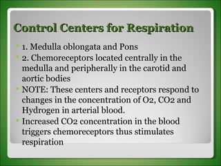 Control Centers for Respiration 1. Medulla oblongata and Pons  2. Chemoreceptors located centrally in the medulla and peripherally in the carotid and aortic bodies NOTE: These centers and receptors respond to changes in the concentration of O2, CO2 and Hydrogen in arterial blood.  Increased CO2 concentration in the blood triggers chemoreceptors thus stimulates respiration  