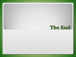 The End 