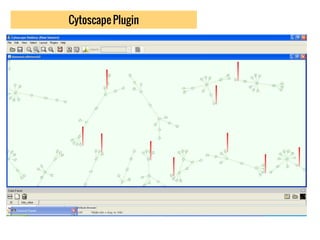 Cytoscape Plugin
 