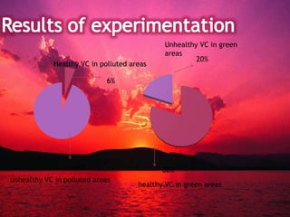 Healthy VC in polluted areas
6%
unhealthy VC in polluted areas
94%
Unhealthy VC in green
areas
healthy VC in green areas
20%
80%
 