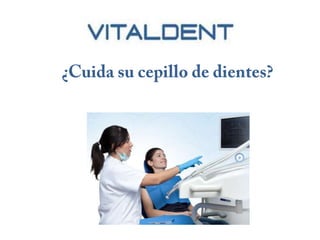 Vitaldent palencia: cómo cuidar el cepillo dental