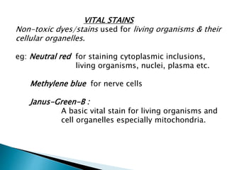 VITAL STAINS
Non-toxic dyes/stains used for living organisms & their
cellular organelles.
eg: Neutral red for staining cytoplasmic inclusions,
living organisms, nuclei, plasma etc.
Methylene blue for nerve cells
Janus-Green-B :
A basic vital stain for living organisms and
cell organelles especially mitochondria.
 