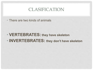 CLASIFICATION
• There are two kinds of animals
• VERTEBRATES: they have skeleton
• INVERTEBRATES: they don’t have skeleton
 