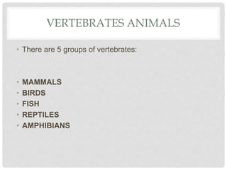 VERTEBRATES ANIMALS
• There are 5 groups of vertebrates:
• MAMMALS
• BIRDS
• FISH
• REPTILES
• AMPHIBIANS
 