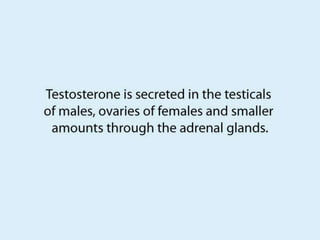 Testosterone Facts