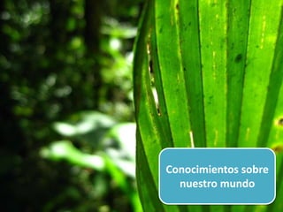 Conocimientos sobre
nuestro mundo
 