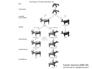 Fuente: Harrison (2007:30)
See final slide for copyright disclaimer
 