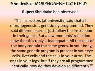 Sheldrake’s MORPHOGENETIC FIELD 
Rupert Sheldrake had observed: 
"The instructors [at university] said that all 
morphogenesis is genetically programmed. They 
said different species just follow the instruction 
in their genes. But a few moments' reflection 
show that this reply is inadequate. All the cells of 
the body contain the same genes. In your body, 
the same genetic program is present in your eye 
cells, liver cells and the cells in your arms. The 
ones in your legs. But if they are all programmed 
identically, how do they develop so differently?" 
 