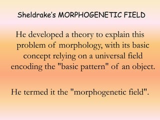 Sheldrake’s MORPHOGENETIC FIELD 
He developed a theory to explain this 
problem of morphology, with its basic 
concept relying on a universal field 
encoding the "basic pattern" of an object. 
He termed it the "morphogenetic field". 
 