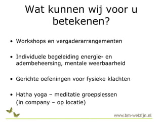 Wat kunnen wij voor u betekenen?Workshops en vergaderarrangementenIndividuele begeleiding energie- en adembeheersing, mentale weerbaarheidGerichte oefeningen voor fysieke klachtenHatha yoga – meditatie groepslessen 	(in company – op locatie)