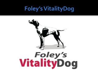 Vitality dog