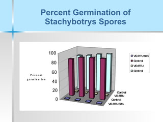 Percent Germination of Stachybotrys Spores 