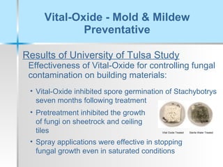 Vital-Oxide - Mold & Mildew Preventative Results of University of Tulsa Study   Effectiveness of Vital-Oxide for controlling fungal contamination on building materials: Vital-Oxide inhibited spore germination of Stachybotrys seven months following treatment Pretreatment inhibited the growth of fungi on sheetrock and ceiling tiles Spray applications were effective in stopping fungal growth even in saturated conditions Vital Oxide Treated  Sterile Water Treated 