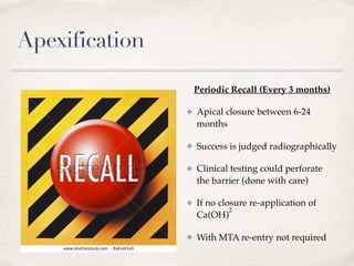 Apexification
Periodic Recall (Every 3 months)
✤ Apical closure between 6-24
months
✤ Success is judged radiographically
✤ Clinical testing could perforate
the barrier (done with care)
✤ If no closure re-application of
Ca(OH)
2
✤ With MTA re-entry not required
 