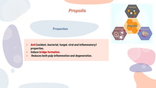  Anti (oxidant, bacterial, fungal, viral and inflammatory)
properties.
 Induce bridge formation.
 Reduces both pulp inflammation and degeneration.
Propolis
Properties
 