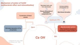 OH-
Ca++
Stimulate deposition of Ca
phosphates
Constriction of blood
vessels
Optimum PH
Bactericidal action
Affect bacterial cytoplasmic
membrane, protein & DNA (1)
Ca OH
1
Neutralize lactic acid
from odontoclast
Prevent dissolution of
mineralized
components of D
2
Activate alkaline
phosphatase (2)
Hard tissue formation
Mechanism of action of CaOH
(antibacterial effect and mineralization)
(1)Siqueira & Lopes 1999
(2) Estrela et al. 1995
 