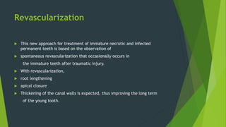Revascularization
 This new approach for treatment of immature necrotic and infected
permanent teeth is based on the observation of
 spontaneous revascularization that occasionally occurs in
the immature teeth after traumatic injury.
 With revascularization,
 root lengthening
 apical closure
 Thickening of the canal walls is expected, thus improving the long term
of the young tooth.
 
