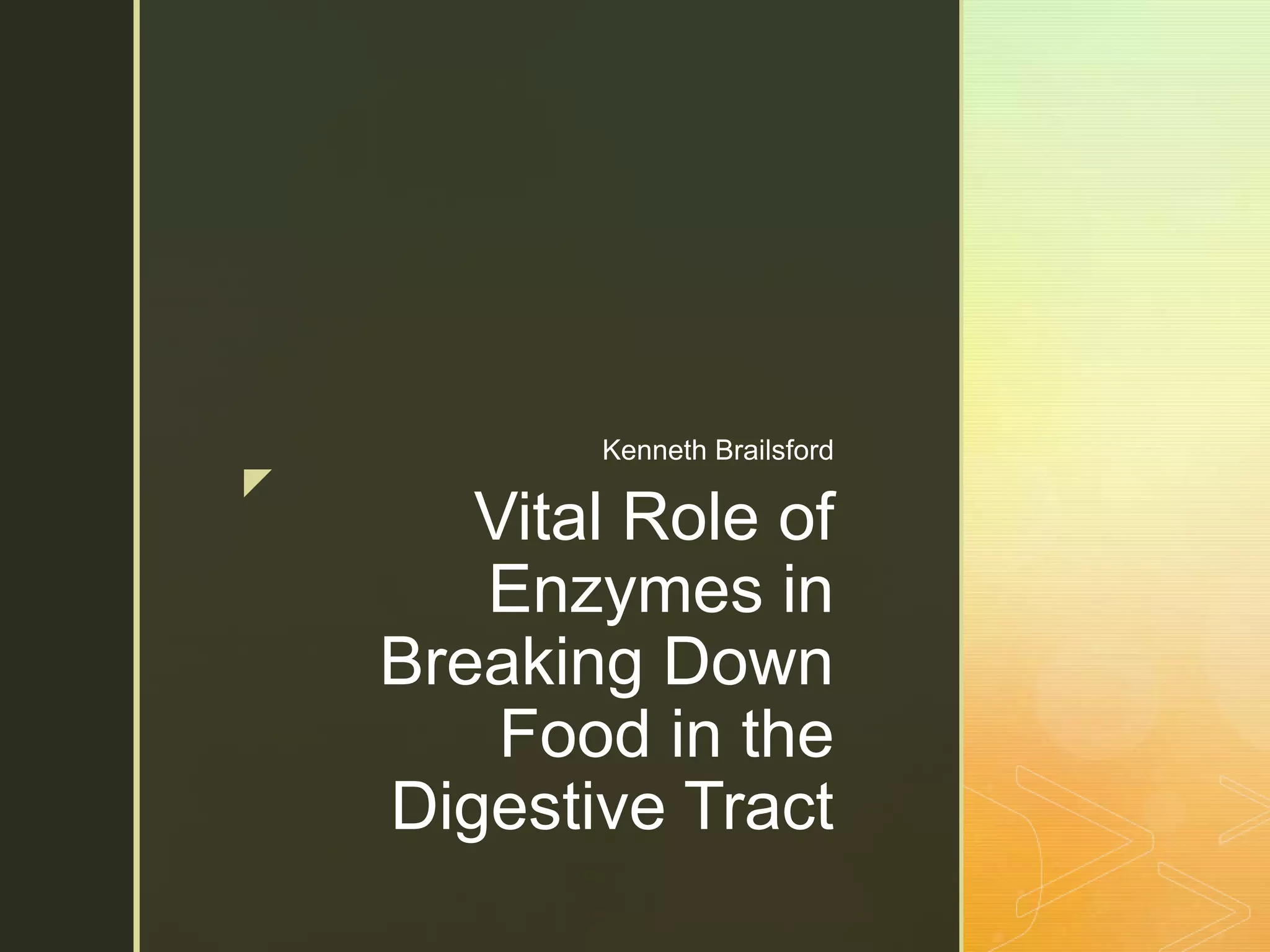 Vital Role of Enzymes in Breaking Down Food in the Digestive Tract PPT