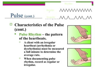 vital sign complete lecture final BSN 2024.pptx