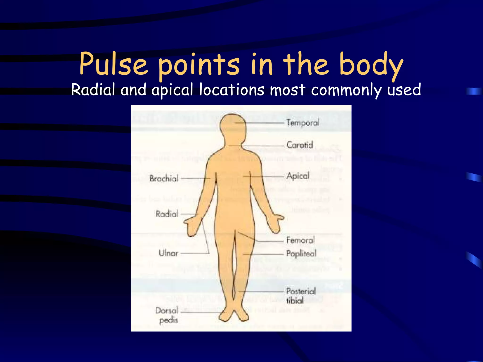 Pulse points in the body Radial and apical locations most commonly used 