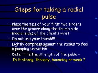 Steps for taking a radial pulse Place the tips of your first two fingers over the groove along the thumb side (radial side) of the client’s wrist Do not use your thumb!!!! Lightly compress against the radius to feel a pumping sensation Determine the strength of the pulse -  Is it strong, thready, bounding or weak ? 