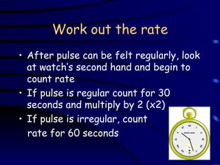 Work out the rate After pulse can be felt regularly, look at watch’s second hand and begin to count rate If pulse is regular count for 30 seconds and multiply by 2 (x2) If pulse is irregular, count  rate for 60 seconds 