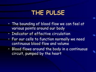 THE PULSE The bounding of blood flow we can feel at various points around our body Indicator of effective circulation For our cells to function normally we need continuous blood flow and volume Blood flows around the body in a continuous circuit, pumped by the heart 