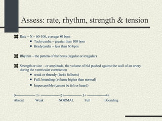 Assess: rate, rhythm, strength & tension Rate – N – 60-100, average 80 bpm  Tachycardia – greater than 100 bpm Bradycardia – less than 60 bpm Rhythm – the pattern of the beats (regular or irregular)  Strength or size – or amplitude, the volume of bld pushed against the wall of an artery during the ventricular contraction  weak or thready (lacks fullness)  Full, bounding (volume higher than normal) Imperceptible (cannot be felt or heard)   0----------------- 1+ -----------------2+--------------- 3+ ----------------4+ Absent   Weak  NORMAL  Full  Bounding 