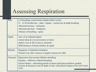 Assessing Respiration Digressions from normal effortless breathing Dyspnea – difficult or labored breathing Cheyne-Stokes – alternating periods of apnea and hyperventilation, gradual increase & decrease in rate & depth of resp. with period of apnea at the end of each cycle. Character Regularity of inhalation/exhalation Normal (very little variation in length of pauses b/w I&E  Rhythm Amt. of air inhaled/exhaled  normal (deep & even movements of chest)  shallow (rise & fall of chest is minimal)  SOB shortness of breath (shallow & rapid) Depth # of breathing cycles/minute (inhale/exhale-1cycle)  N – 12-20 breaths/min – adult - Eupnea – normal rate & depth breathing Abnormal increase – tachypnea  Abnormal decrease – bradypnea  Absence of breathing – apnea Rate 
