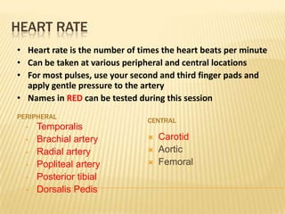 HEART RATE
• Heart rate is the number of times the heart beats per minute
• Can be taken at various peripheral and central locations
• For most pulses, use your second and third finger pads and
  apply gentle pressure to the artery
• Names in RED can be tested during this session
PERIPHERAL
                                CENTRAL
  •   Temporalis
  •   Brachial artery              Carotid
  •   Radial artery                Aortic
  •   Popliteal artery             Femoral
  •   Posterior tibial
  •   Dorsalis Pedis
 