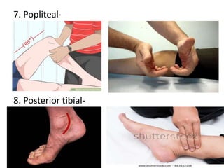7. Popliteal-
8. Posterior tibial-
 