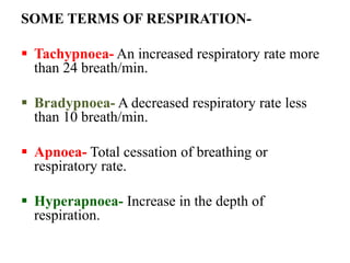 SOME TERMS OF RESPIRATION-
 Tachypnoea- An increased respiratory rate more
than 24 breath/min.
 Bradypnoea- A decreased respiratory rate less
than 10 breath/min.
 Apnoea- Total cessation of breathing or
respiratory rate.
 Hyperapnoea- Increase in the depth of
respiration.
 