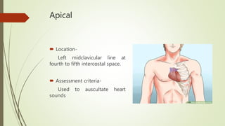 Apical
 Location-
Left midclavicular line at
fourth to fifth intercostal space.
 Assessment criteria-
Used to auscultate heart
sounds
 