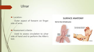 Ulnar
 Location-
Outer aspect of forearm on finger
side of wrist.
 Assessment criteria-
Used to assess circulation to ulnar
side of hand and to perform the Allen’s
test.
 
