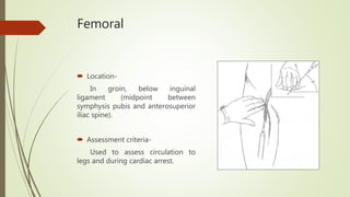 Femoral
 Location-
In groin, below inguinal
ligament (midpoint between
symphysis pubis and anterosuperior
iliac spine).
 Assessment criteria-
Used to assess circulation to
legs and during cardiac arrest.
 