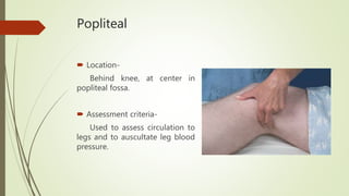Popliteal
 Location-
Behind knee, at center in
popliteal fossa.
 Assessment criteria-
Used to assess circulation to
legs and to auscultate leg blood
pressure.
 