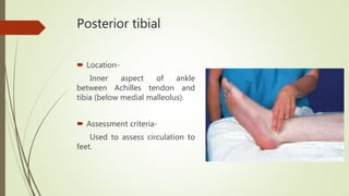 Posterior tibial
 Location-
Inner aspect of ankle
between Achilles tendon and
tibia (below medial malleolus).
 Assessment criteria-
Used to assess circulation to
feet.
 