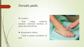 Dorsalis pedis
 Location-
Over instep, midpoint
between extension tendons of
great and second toe.
 Assessment criteria-
Used to assess circulation to
feet.
 