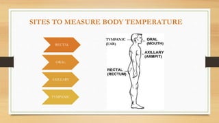 vital signs.ppt
