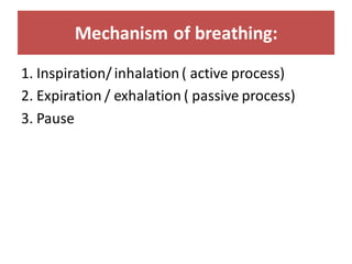 VITAL SIGNS.pdf