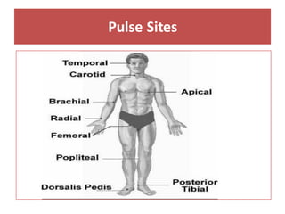 Pulse Sites
 