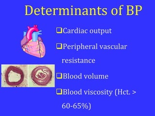 Determinants of BP
Cardiac output
Peripheral vascular
resistance
Blood volume
Blood viscosity (Hct. >
60-65%)
 