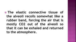  The elastic connective tissue of
the alveoli recoils somewhat like a
rubber band, forcing the air that is
mostly CO2 out of the alveoli so
that it can be exhaled and returned
to the atmosphere.
 