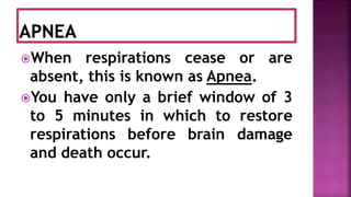 When respirations cease or are
absent, this is known as Apnea.
You have only a brief window of 3
to 5 minutes in which to restore
respirations before brain damage
and death occur.
 