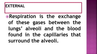 Respiration is the exchange
of these gases between the
lungs’ alveoli and the blood
found in the capillaries that
surround the alveoli.
 