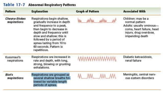Vital signs - Respiration