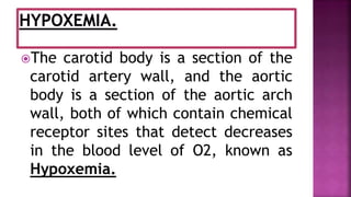 The carotid body is a section of the
carotid artery wall, and the aortic
body is a section of the aortic arch
wall, both of which contain chemical
receptor sites that detect decreases
in the blood level of O2, known as
Hypoxemia.
 