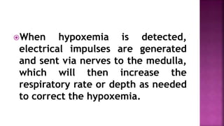 When hypoxemia is detected,
electrical impulses are generated
and sent via nerves to the medulla,
which will then increase the
respiratory rate or depth as needed
to correct the hypoxemia.
 