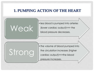 •less blood is pumped into arteries
(lower cardiac output)>>> the
blood pressure decreases.
Weak
•the volume of blood pumped into
the circulation increases (higher
cardiac output)>>>the blood
pressure increases.
Strong
1. PUMPING ACTION OF THE HEART
 